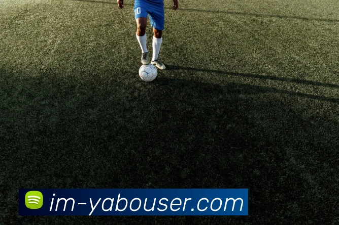 奖项证书